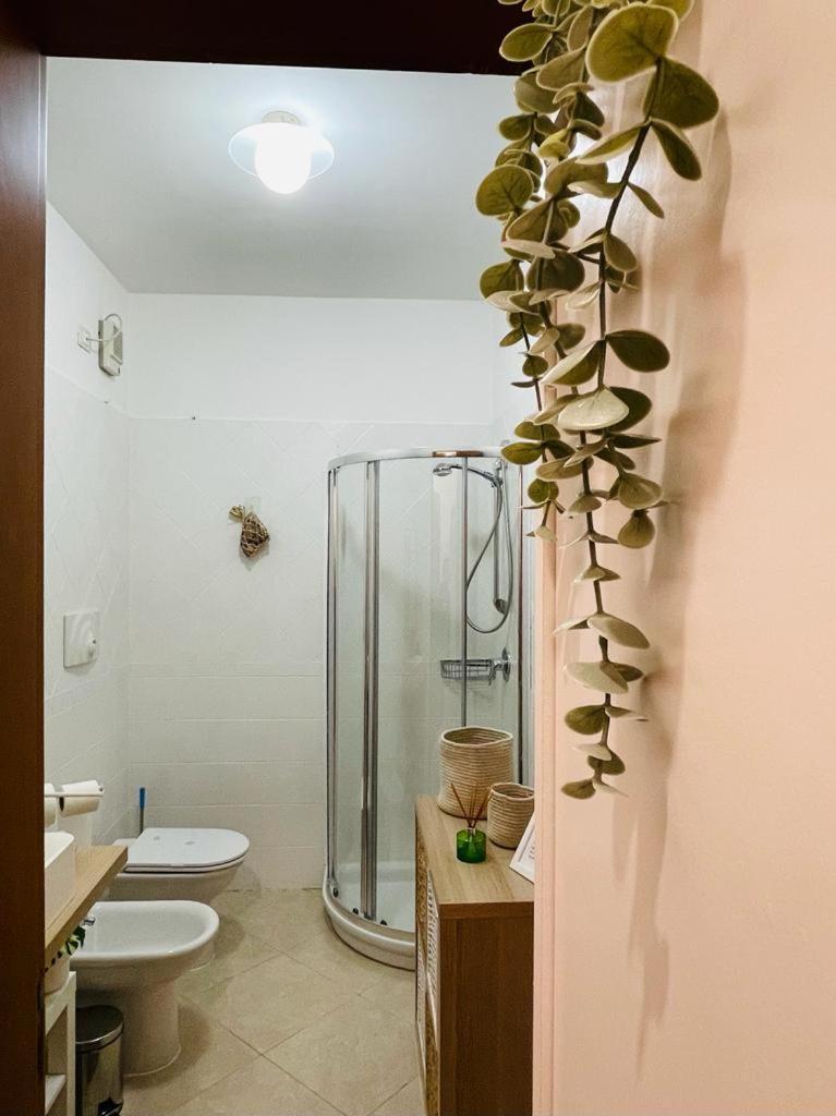 Macada Apartament